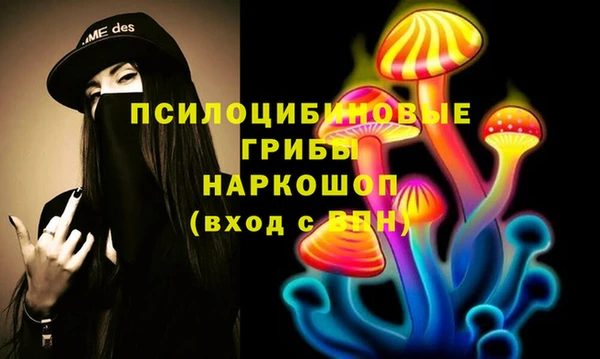 СК Новочеркасск