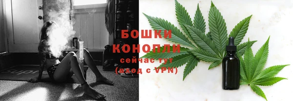 прущие грибы Майский