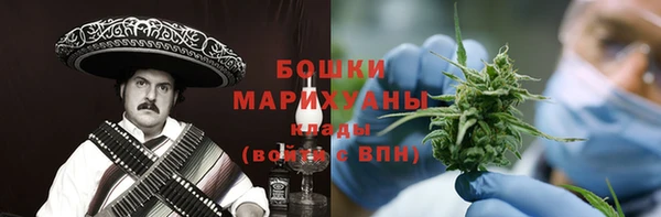 прущие грибы Майский