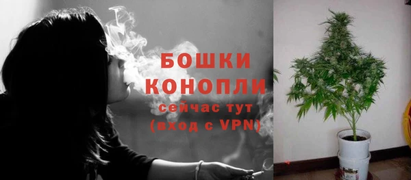 прущие грибы Майский