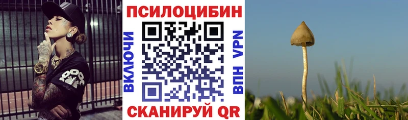 Псилоцибиновые грибы Cubensis  Нижняя Тура 